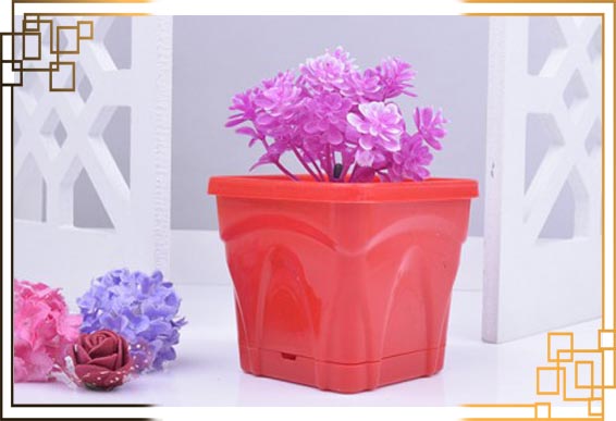 گلدان پلاستیکی کاکتوس