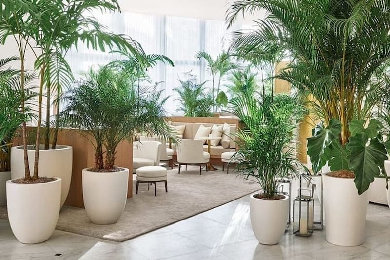 گلدان پلاستیکی