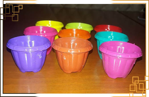 گلدان کاکتوس