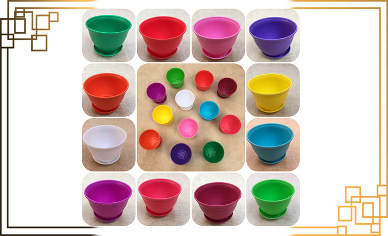 گلدان کاکتوس