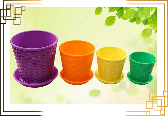 گلدان کاکتوس