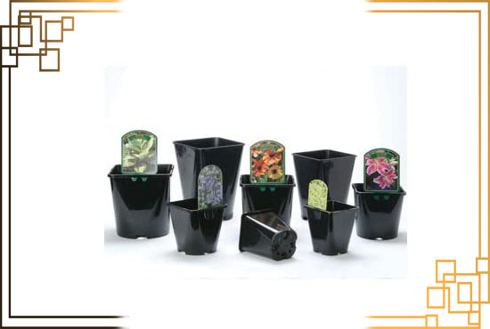 گلدان پلاستیکی کوچک