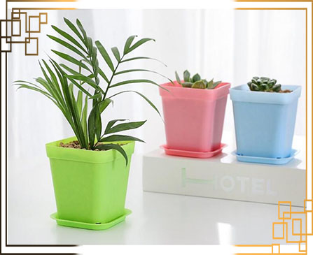 گلدان پلاستیکی کوچک