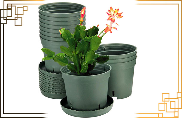 گلدان پلاستیکی کوچک