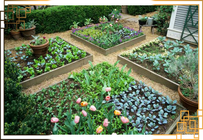 گلدان پلاستیکی کشاورزی