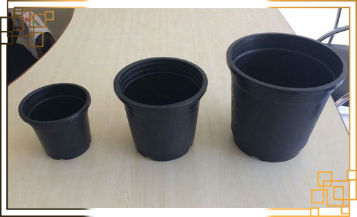 گلدان سایز 6