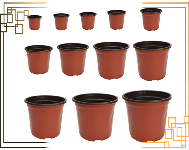 گلدان سایز 6