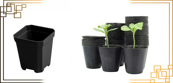 گلدان سایز 6