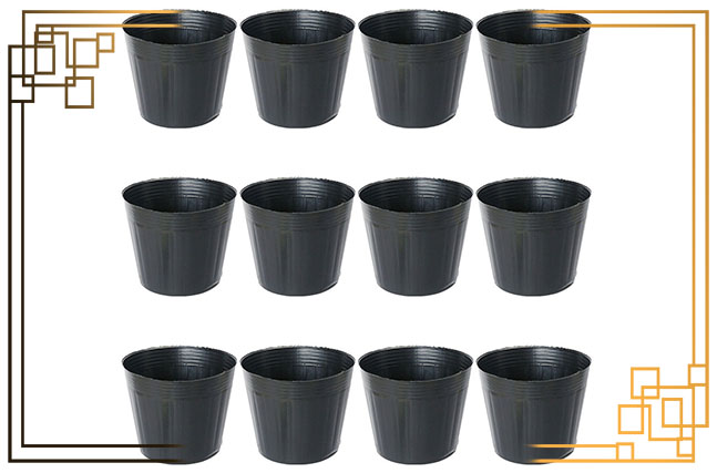 گلدان سایز 6