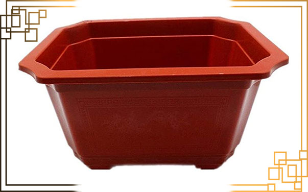 گلدان پلاستیکی سبزی