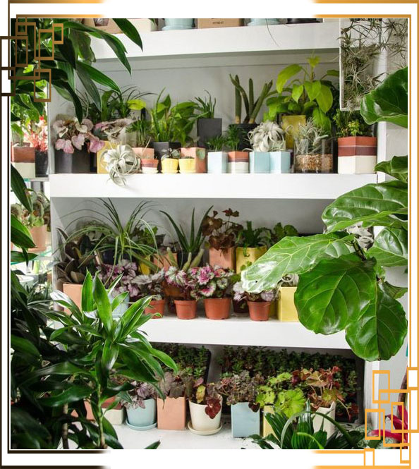 گلدان پلاستیکی بیتا