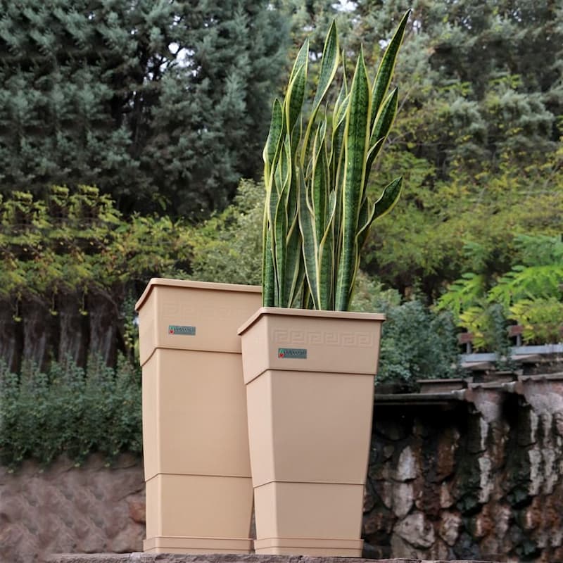 گلدان پلاستیکی