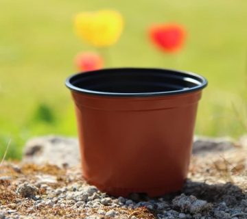 گلدان پلاستیکی