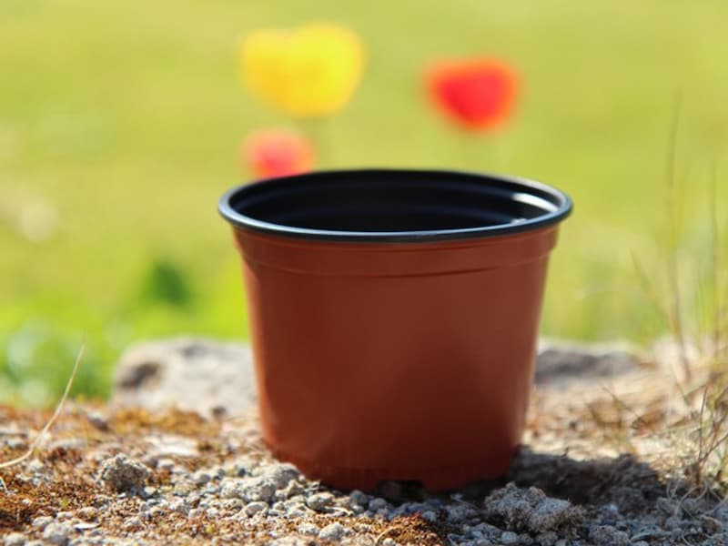 گلدان پلاستیکی