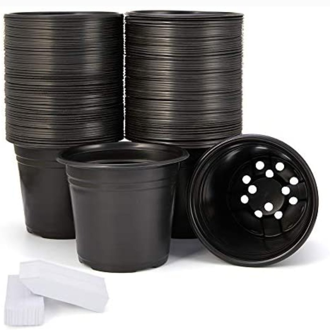 گلدان پلاستیکی ژله ای