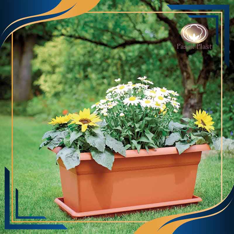 گلدان پلاستیکی باکس