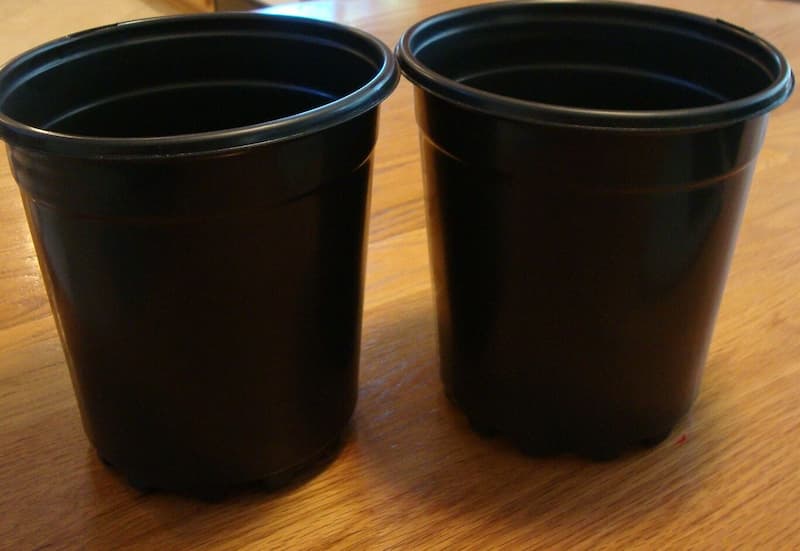 گلدان پلاستیکی سطل