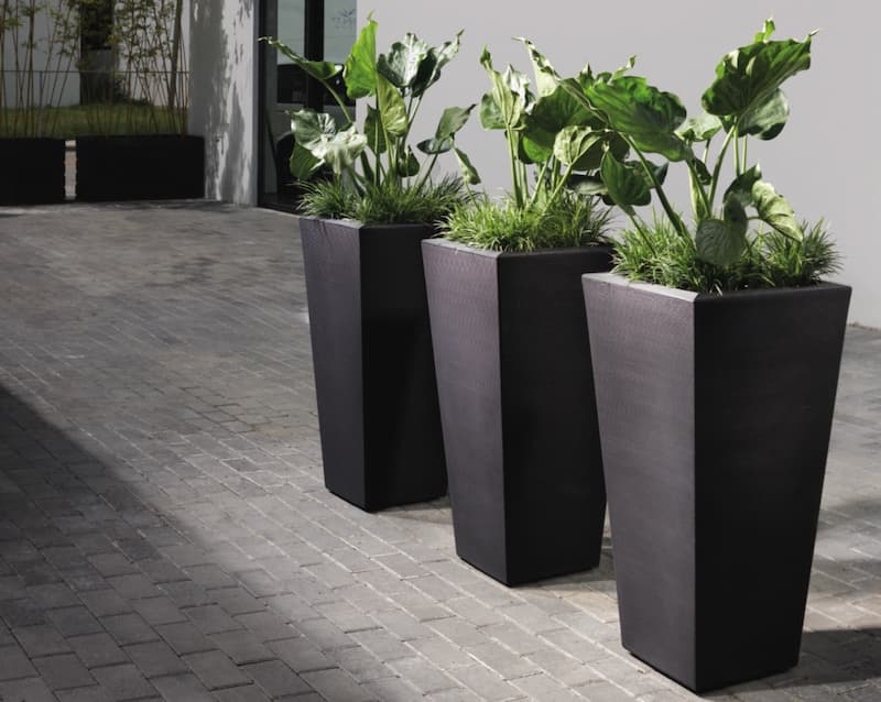 گلدان پلاستیکی مشکی