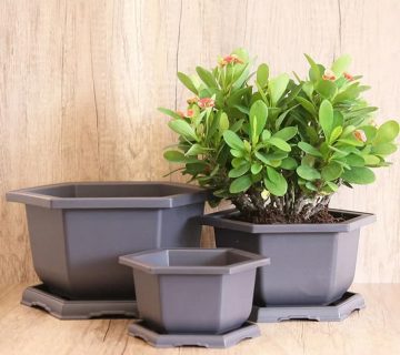 گلدان پلاستیکی طرح جدید