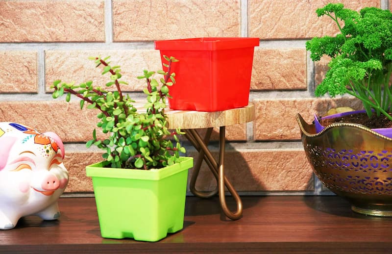 گلدان پلاستیکی طرح جدید