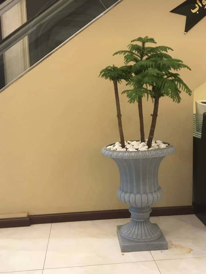 گلدان پلاستیکی بارز