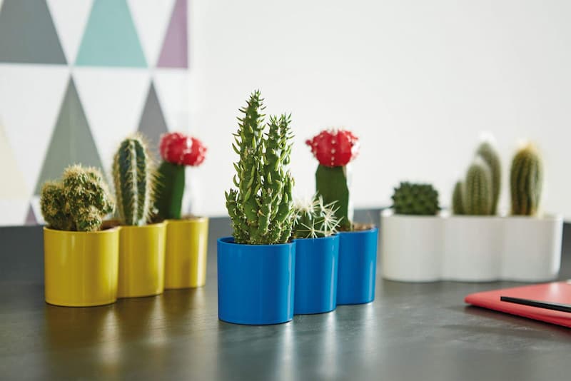 گلدان پلاستیکی