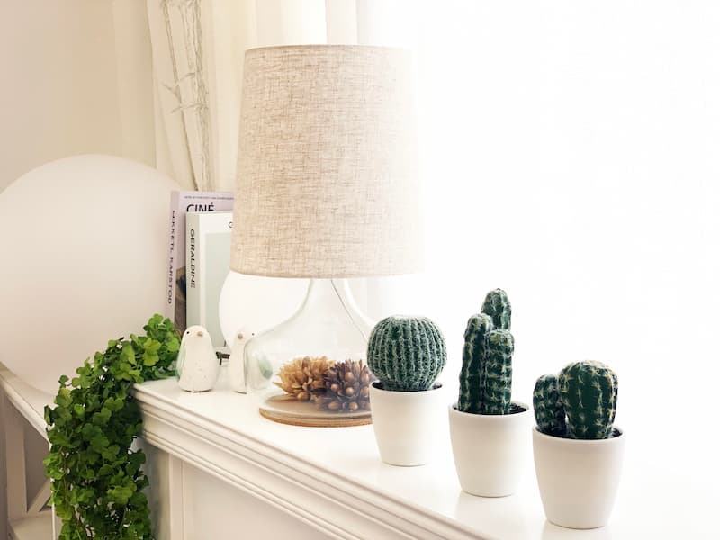 گلدان پلاستیکی بند انگشتی