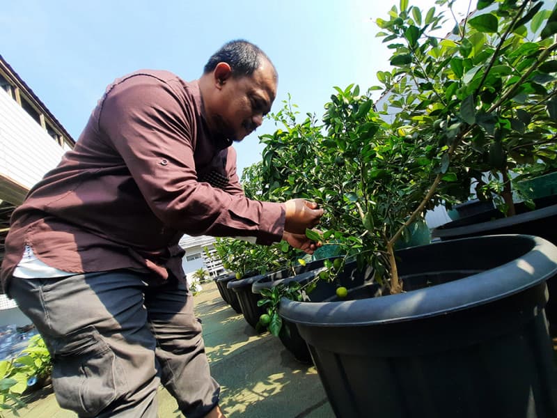 گلدان پلاستیکی مشکی