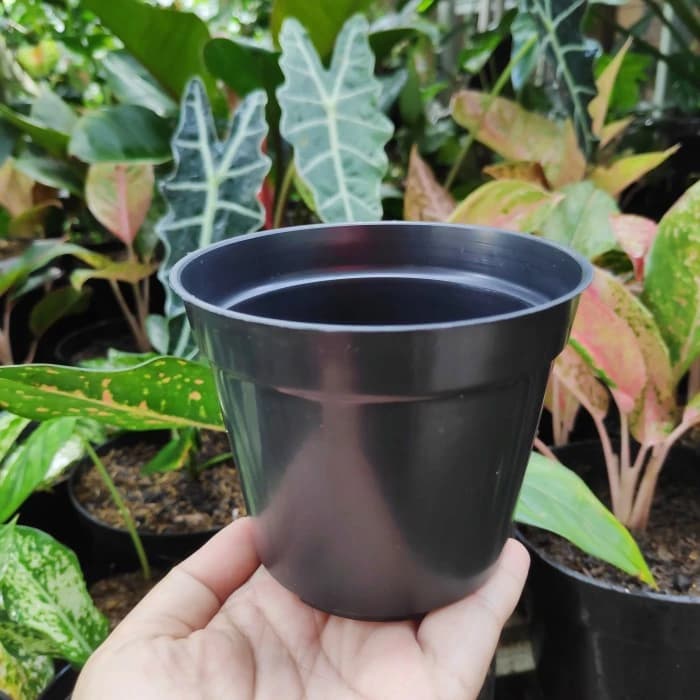 گلدان پلاستیکی مشکی