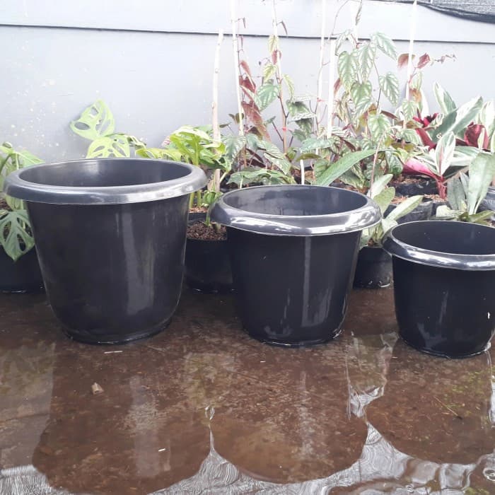 گلدان پلاستیکی مشکی