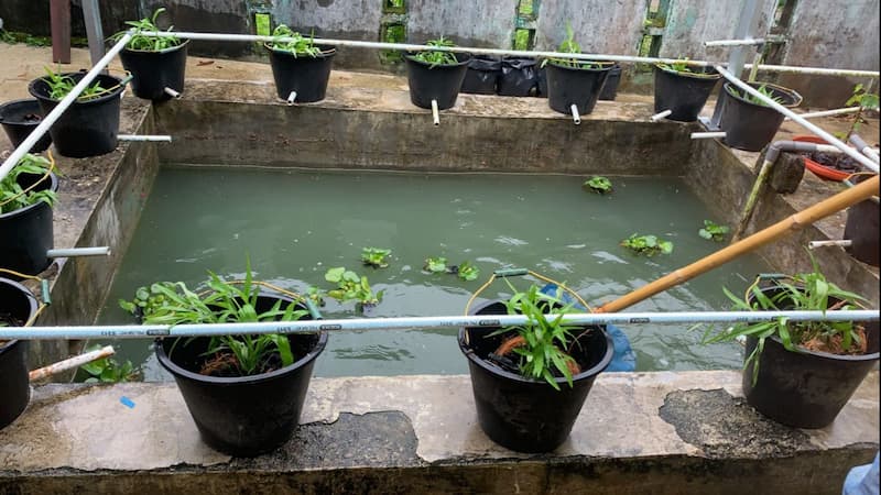 گلدان پلاستیکی مشکی