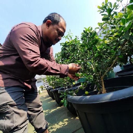 انواع گلدان پلاستیکی مشکی بزرگ گلخانه ای