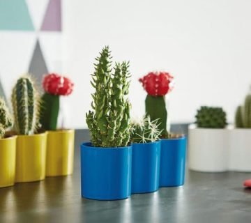 خرید گلدان پلاستیکی پلیمری طرح استوانه ای