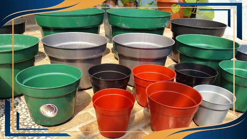 گلدان پلاستیکی کاکتوسی