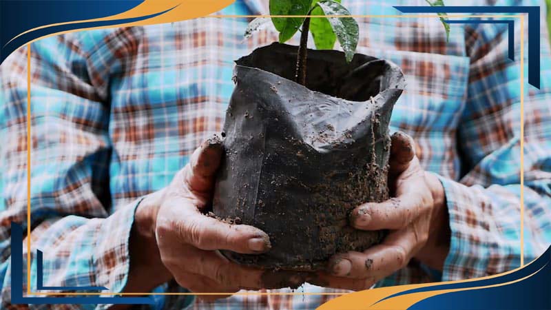 گلدان پلاستیکی گلخانه ای