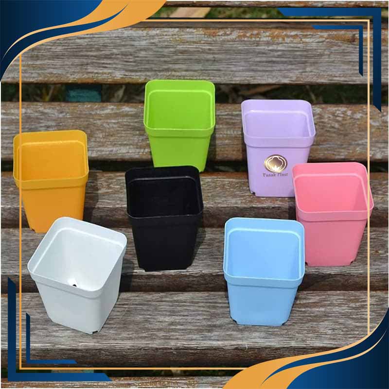 گلدان پلاستیکی کاکتوسی