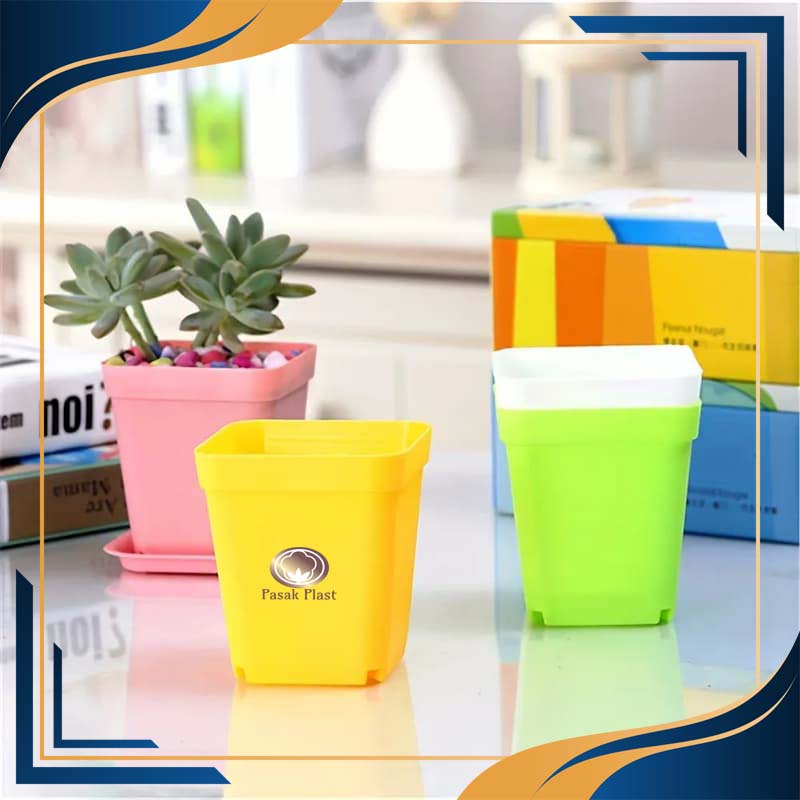 گلدان پلاستیکی کاکتوسی