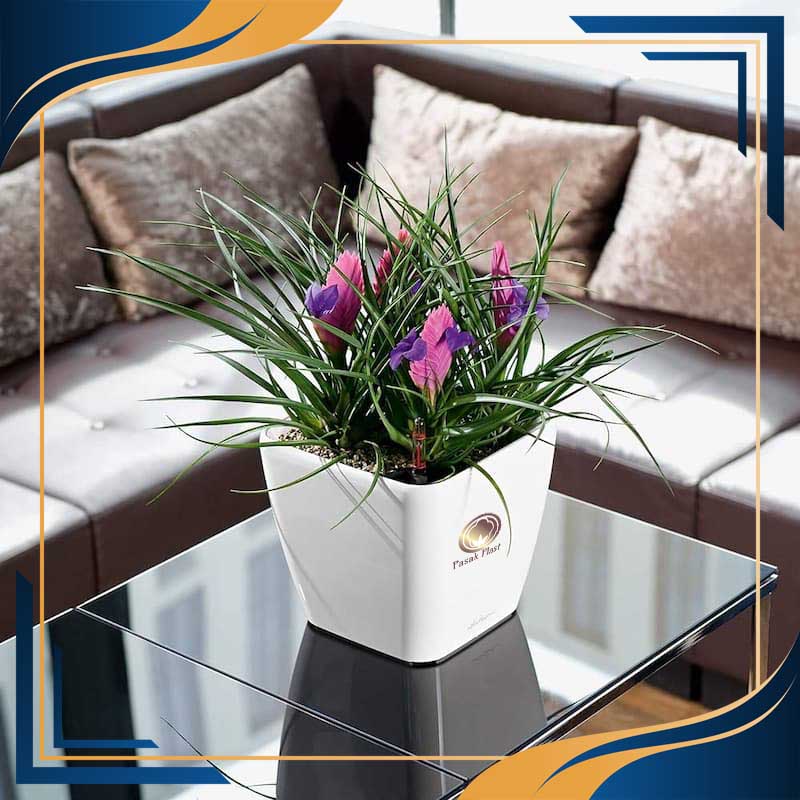 گلدان پلاستیکی کاکتوسی