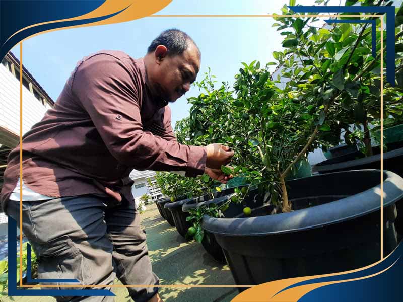 گلدان پلاستیکی گلخانه ای