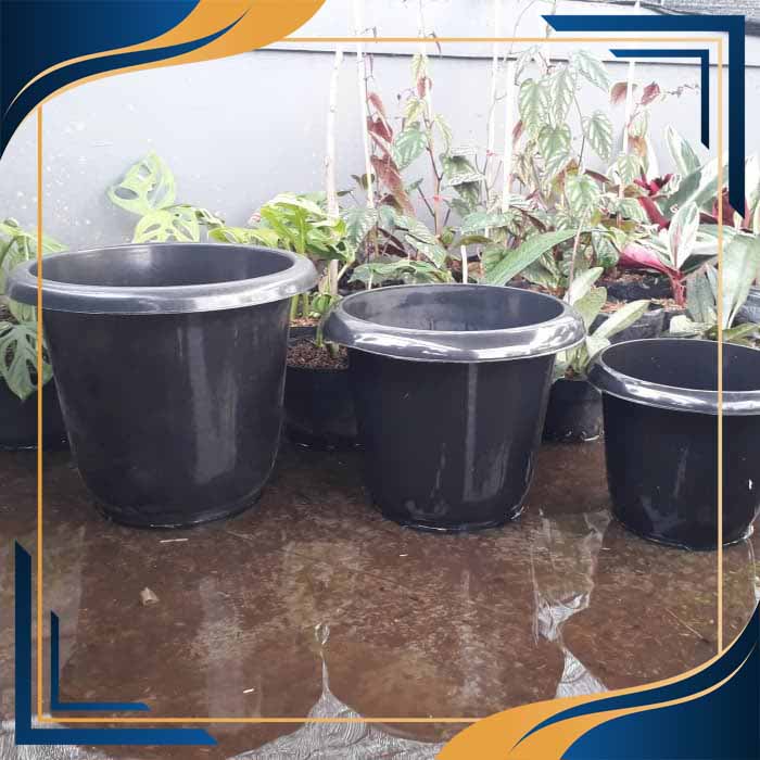 گلدان پلاستیکی گلخانه ای