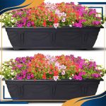 گلدان پلاستیکی گلخانه ای